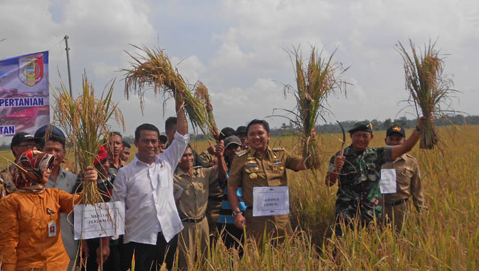 Harga Beras di Lampung Rp7 Ribu per Liter, Mentan Akui Bagus